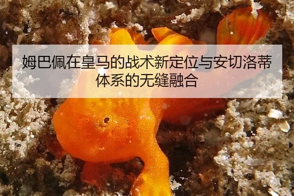 mu-ba-pei-zai-huang-ma-de-zhan-shu-xin-ding-wei-yu-an-qie-luo-di-ti-xi-de-wu-feng-rong-he-3-917.jpg