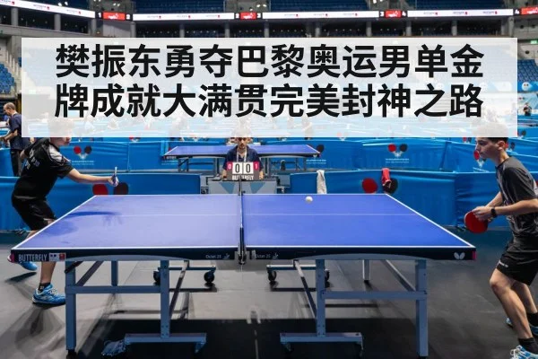 樊振东勇夺巴黎奥运男单金牌成就大满贯完美封神之路