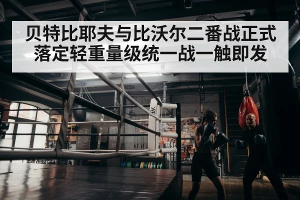 boxer training